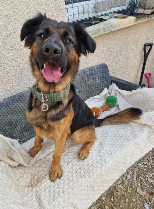 Photo de Vali