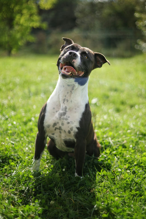 Photo de Kira