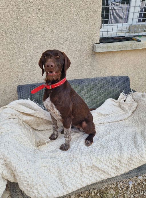 Photo de Velma