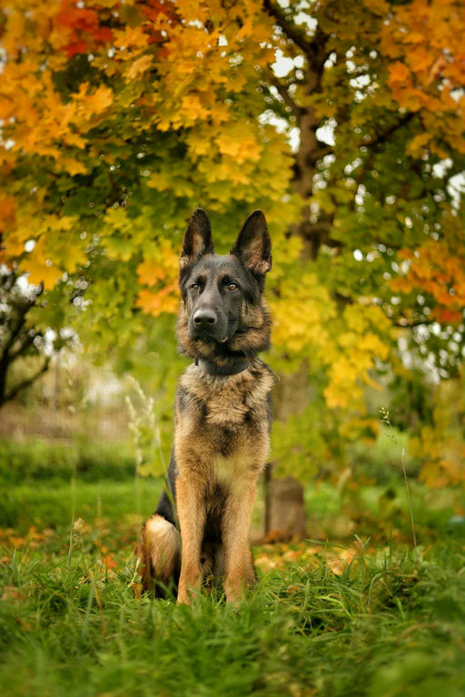 Photo de Valdes